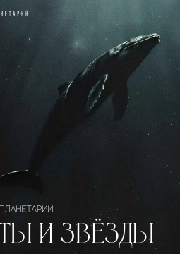 Jazz в планетарии: киты и звёзды