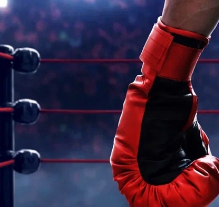 Чёрно-белые воротнички