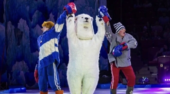 Айсберг | Цирк на льду