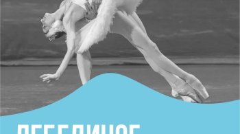 Лебединое озеро