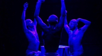 Моя собака бросила пить в четверг