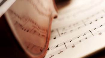 Без лишних слов