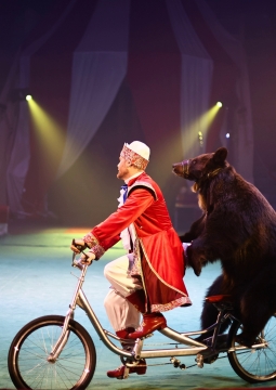 Цирк Моретти