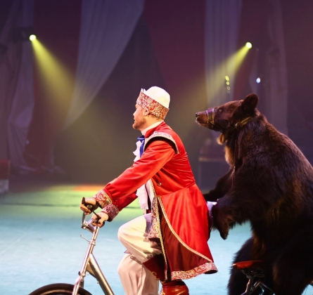 Цирк Моретти