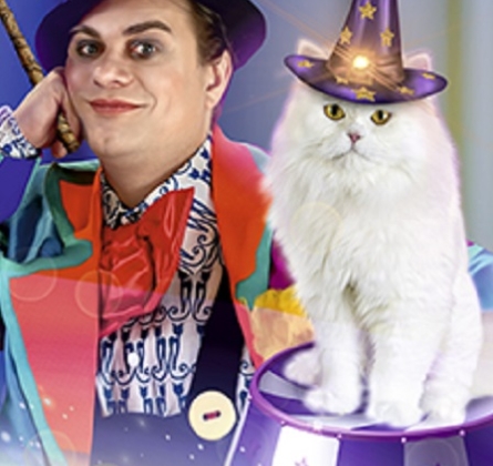 Волшебные кошки | Владимир Куклачёв