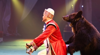 Цирк Моретти