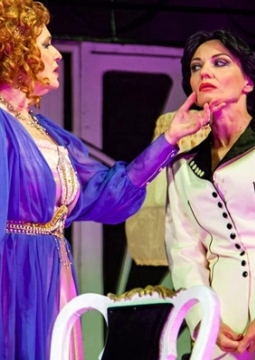 Любовные игры Сары и Элеоноры