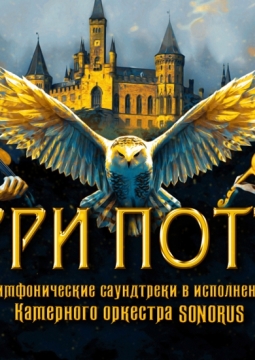 Гарри Поттер | Оркестр Sonorus