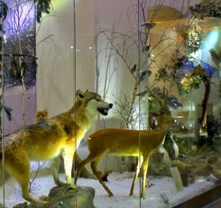 Экспозиция Краеведческого музея на Народной