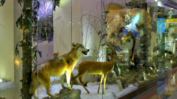 Экспозиция Краеведческого музея на Народной