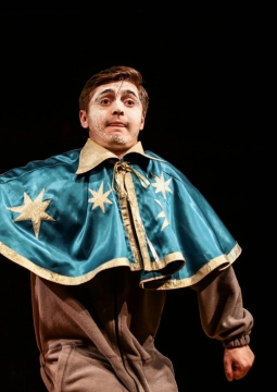 Двенадцатая ночь, или Как угодно