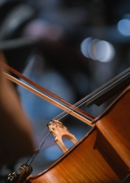 Концерт солистов театра