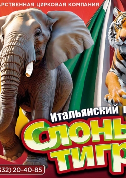 Итальянский цирк: слоны и тигры