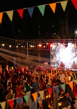 Попсовая среда