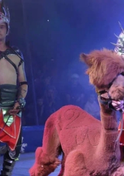 Цирк на льду