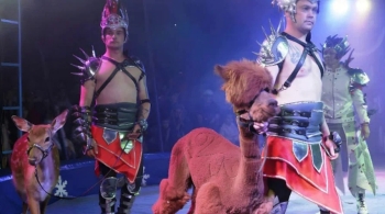 Цирк на льду