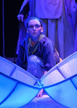 Край одуванчиков