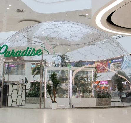 Парк бабочек Paradise