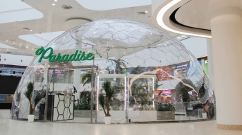 Парк бабочек Paradise