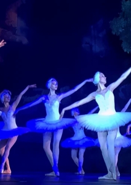 Лебединое озеро