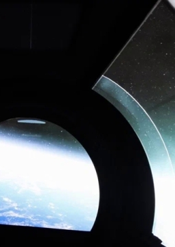 В поисках жизни