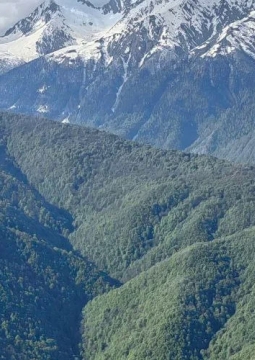 Красная Поляна, Роза Хутор, Газпром