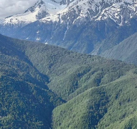 Красная Поляна, Роза Хутор, Газпром