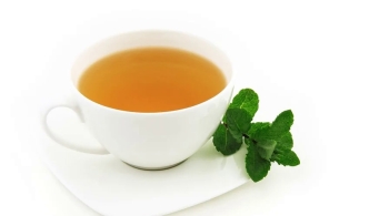 Великий чайный путь | Экскурсия по выставке