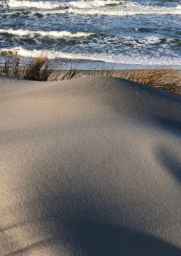Куршская коса, Танцующий лес и г. Зеленоградск