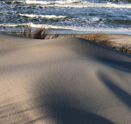 Куршская коса, Танцующий лес и г. Зеленоградск