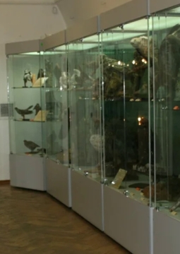 Экскурсия по всем выставкам первого этажа