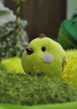 Ку-ка-ре-ку!