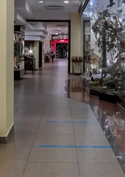 Экскурсия по экспозиции Краеведческого музея