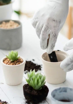 Создание мини-флорариума с песочной церемонией