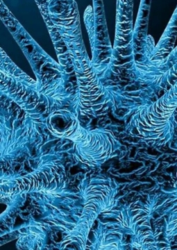 Секретные материалы