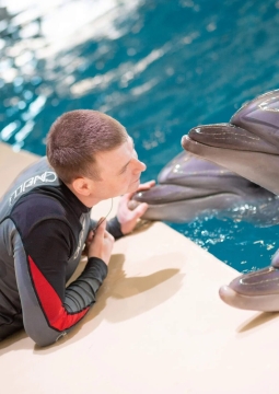 Шоу с участием морских млекопитающих