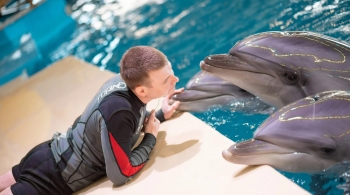 Шоу с участием морских млекопитающих