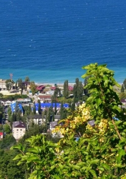 VIP-тур в Абхазию на минивэнах