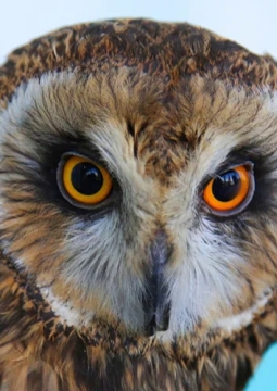 Вокруг света