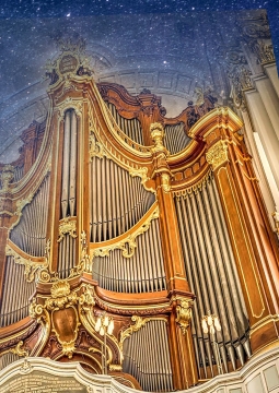Концерт-экскурсия по Органному залу