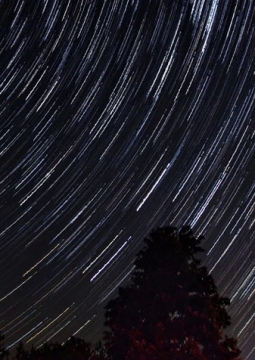 Вселенная вирусов