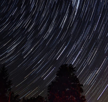 Вселенная вирусов