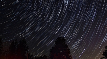 Вселенная вирусов