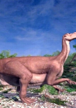 Земля: путешествие к началу времён