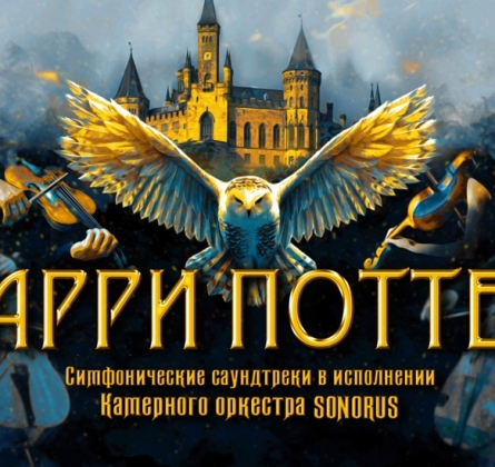 Гарри Поттер | Оркестр Sonorus