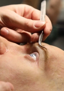 Роботы: Пермский период