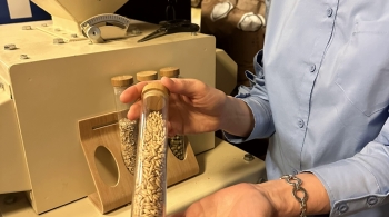 Пешеходная экскурсия, экскурсия в Beerfactory с дегустацией