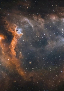 Естественный отбор