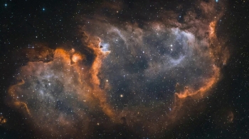 Естественный отбор