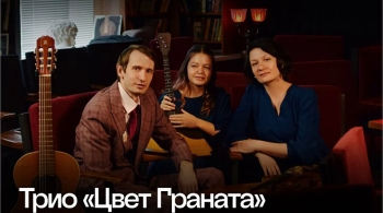 Цвет граната